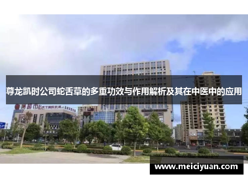 尊龙凯时公司蛇舌草的多重功效与作用解析及其在中医中的应用