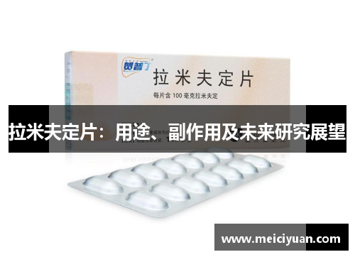 拉米夫定片:用途、副作用及未来研究展望 拉米夫定片:用途、副作用及未来研究展望