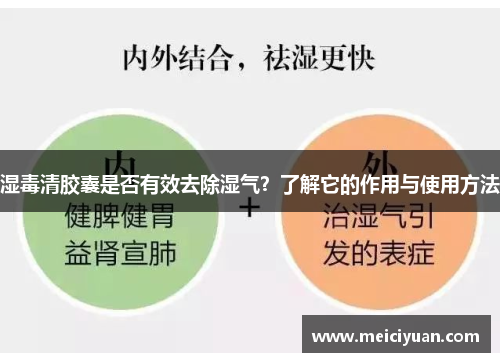 湿毒清胶囊是否有效去除湿气?了解它的作用与使用方法 湿毒清胶囊是否有效去除湿气?了解它的作用与使用方法