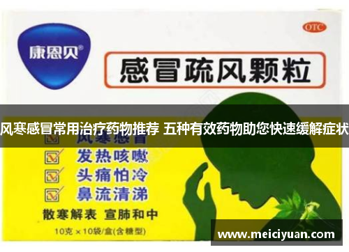 风寒感冒常用治疗药物推荐 五种有效药物助您快速缓解症状 风寒感冒常用治疗药物推荐 五种有效药物助您快速缓解症状