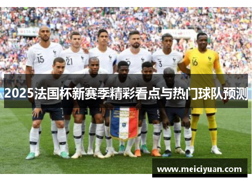 2025法国杯新赛季精彩看点与热门球队预测